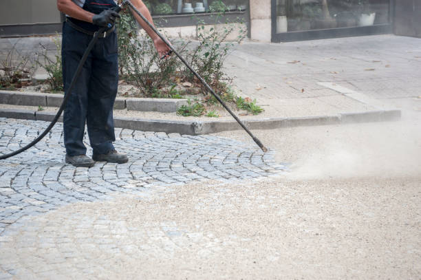 Best Soft Washing for Delicate Surfaces in La Crosse, WI