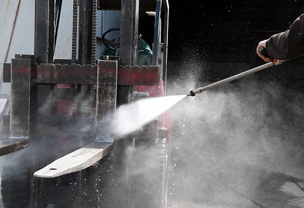Best Roof Cleaning and Mildew Removal in La Crosse, WI